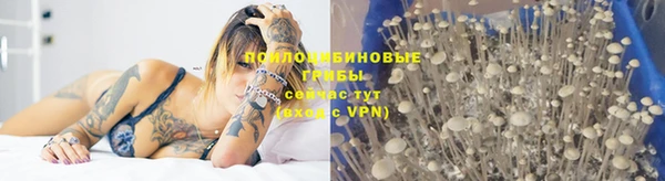стаф Нефтекумск