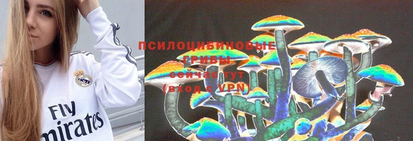 стаф Нефтекумск