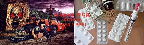 стаф Нефтекумск